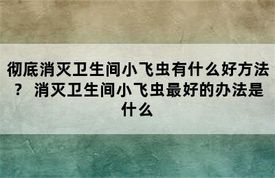 彻底消灭卫生间小飞虫有什么好方法？ 消灭卫生间小飞虫最好的办法是什么